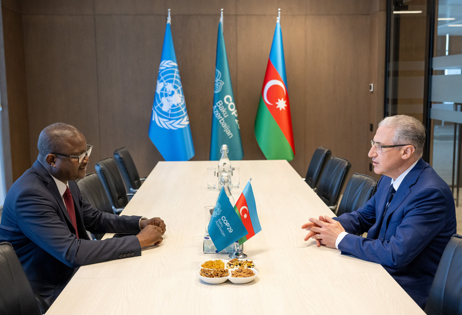 El Presidente de la COP29 se reúne con el Ministro de Medio Ambiente de Guinea-Bissau