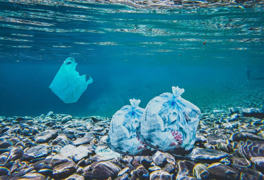 Yapon alimləri qısa müddətdə dəniz suyunda həll olunan plastik hazırlayıblar