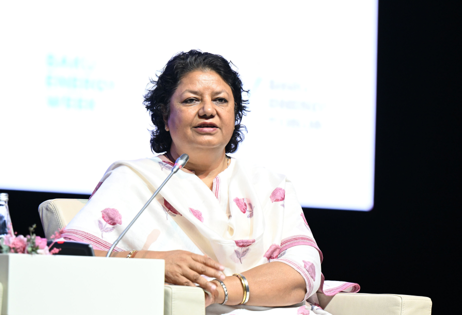 IRENA Deputy Director General: We must continue investing in renewable energy