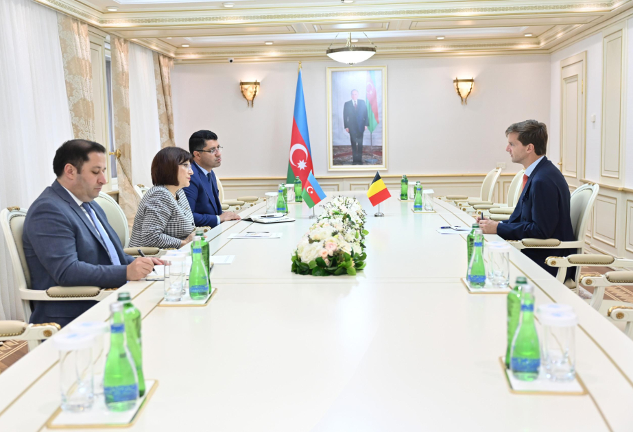 Səfir: Azərbaycanla Belçika arasında əməkdaşlığın genişləndirilməsi üçün əlverişli zəmin var