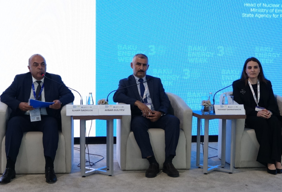 FHN-in nümayəndələri panel sessiyada iştirak ediblər