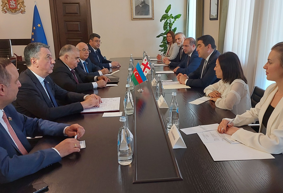 El Presidente del Parlamento de Georgia agradece a Azerbaiyán