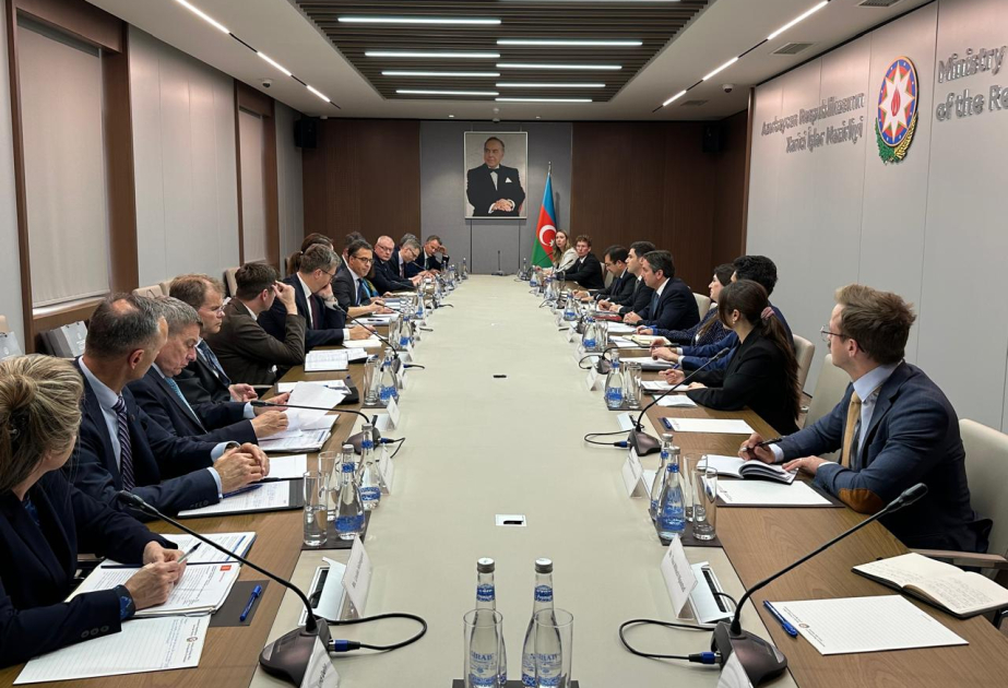 Azərbaycan ilə Şimal və Baltik dövlətləri arasında əməkdaşlıq məsələləri müzakirə olunub