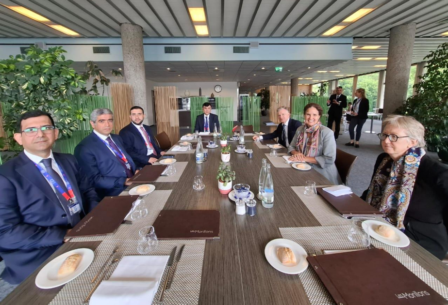 Azerbaijan’s Minister of Labor holds bilateral meetings at ILO Conference in Switzerland