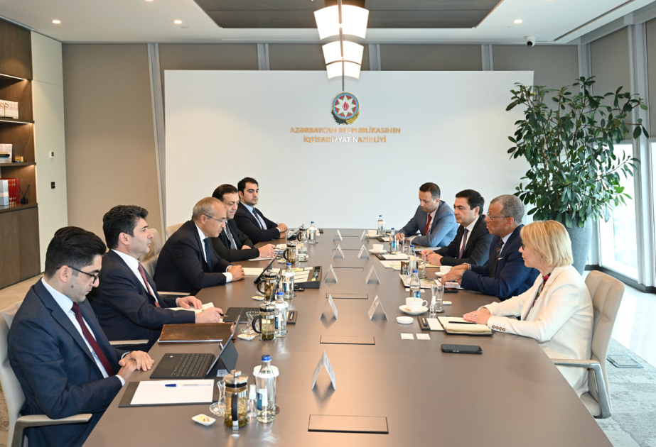 Azerbaijan, Deloitte discuss cooperation opportunities in energy transition and innovation