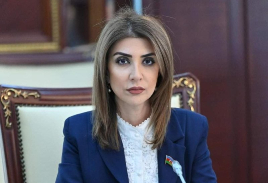 Ulu Öndər Heydər Əliyevin müəyyən etdiyi milli enerji strategiyası Azərbaycan tarixinin parlaq səhifələrindəndir -  ŞƏRH