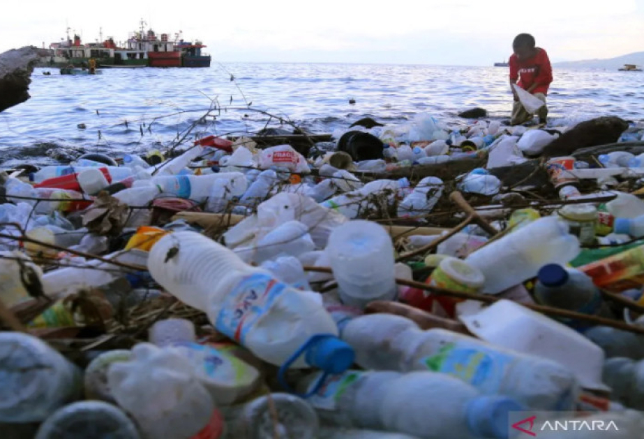 Indonesia pushes multilateral cooperation to tackle plastic pollution