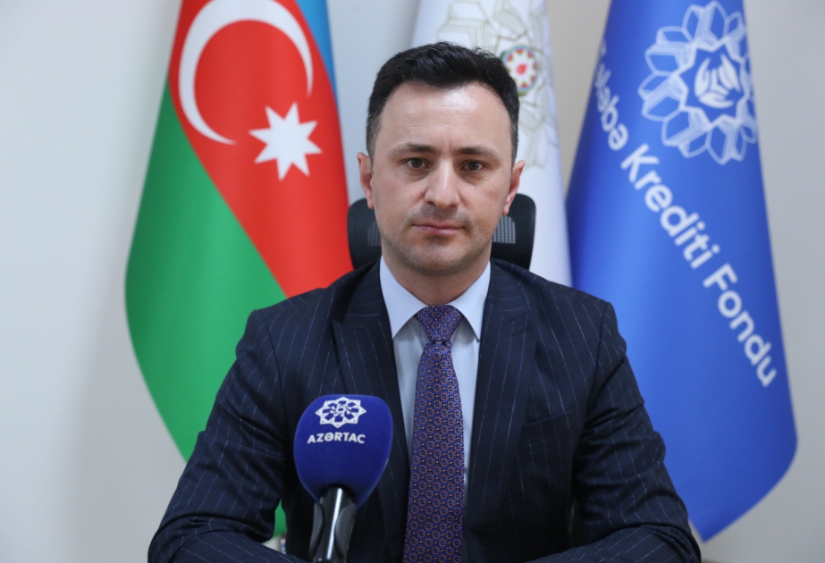 TTKF sədri: Hər gün 100-ə yaxın tələbə kredit üçün müraciət edir MÜSAHİBƏ