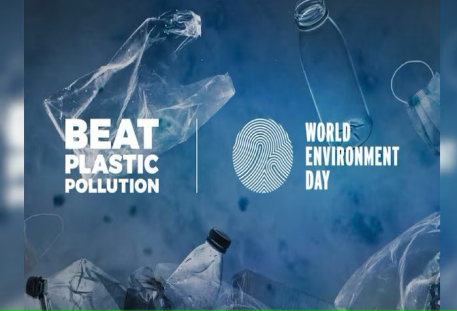 11 millions de tonnes de plastique finissent dans les lacs, les fleuves et les océans chaque année