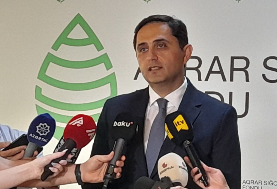 Sədr: Pambıq sahələrinə dəymiş zərərə görə 1 milyon manatdan çox sığorta ödənişi edilib