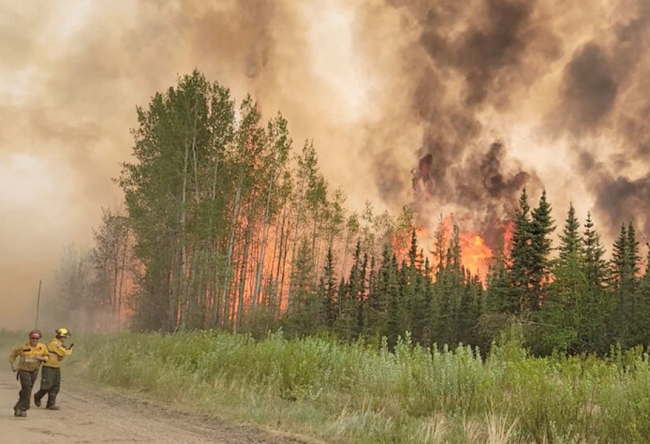 Mehr als 30.000 Menschen müssen wegen Waldbränden ihre Häuser verlassen