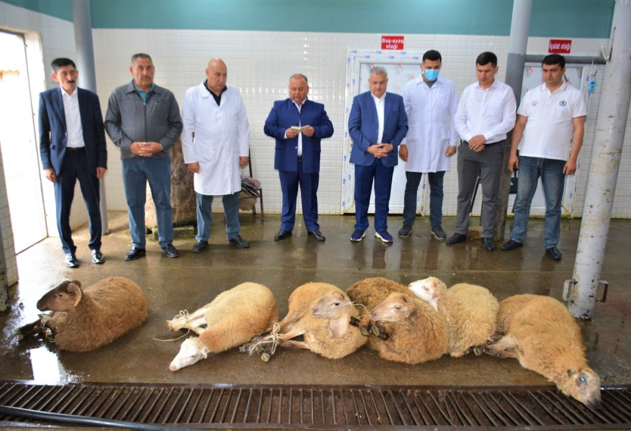 Tərtərdə şəhid ailələrinə və aztəminatlı ailələrə bayram sovqatı paylanıb