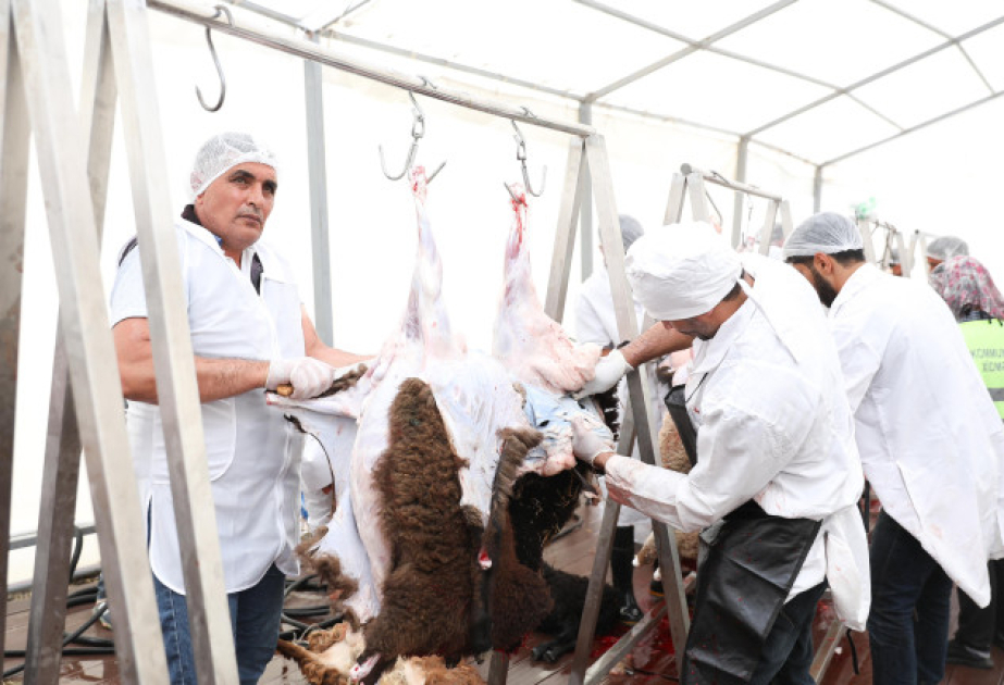 Bayramla bağlı 135 ünvanda qurbanlıq heyvanların satışı və kəsimi xidmətləri göstərilir