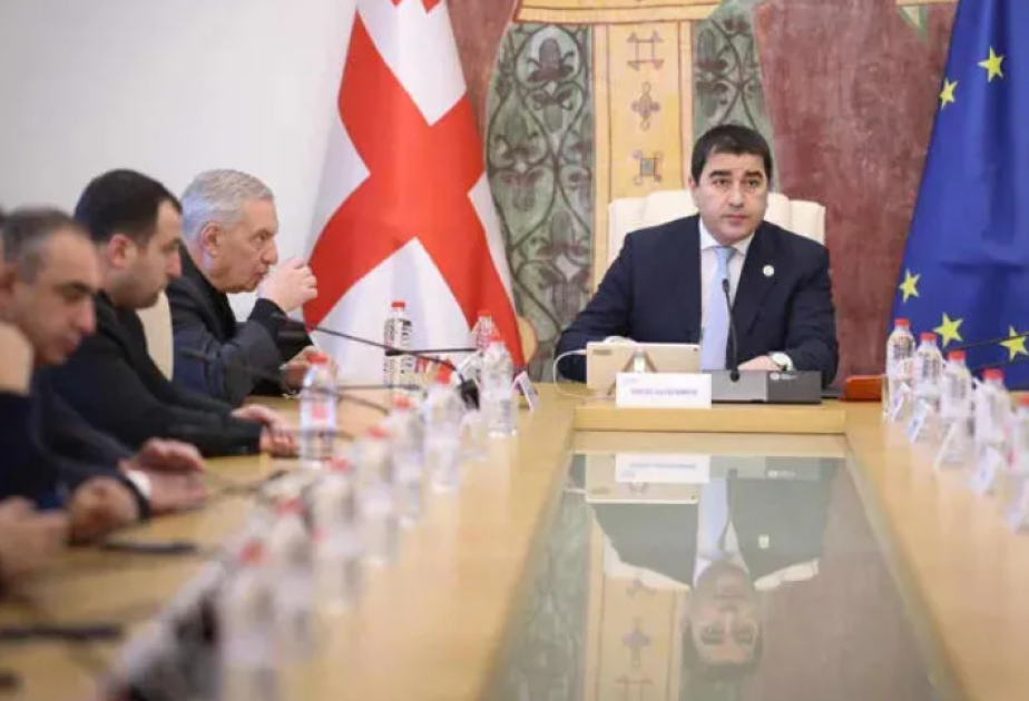 Gürcüstan parlamentinin deputatları Baltikyanı ölkələrlə dostluq qruplarına daxil olmaqdan imtina ediblər