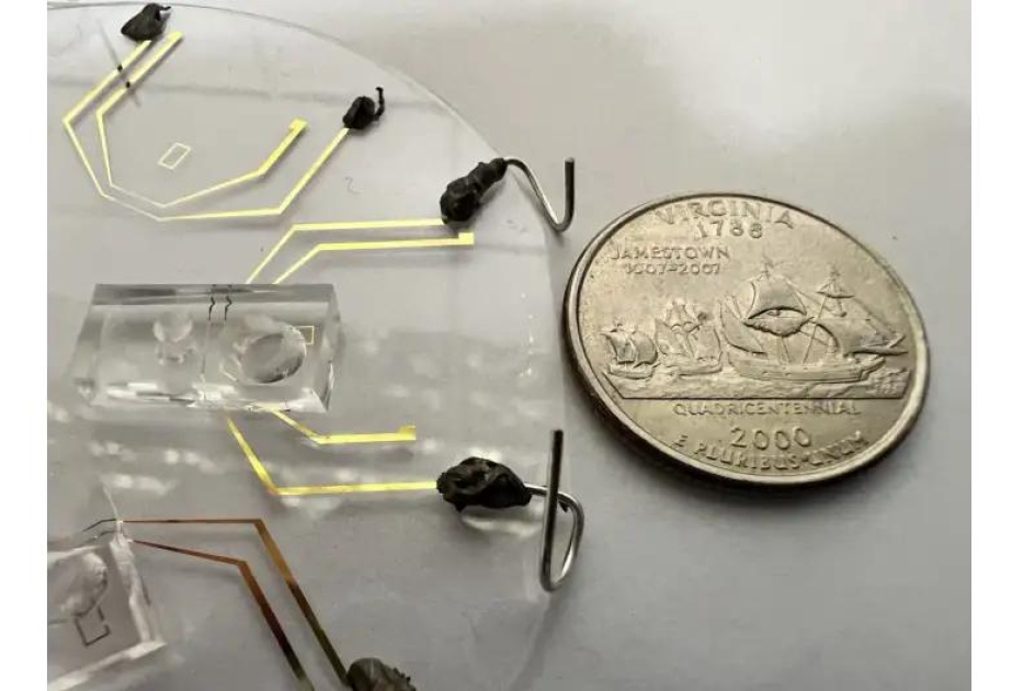 Engineers develop genetic testing device to detect rare mutations