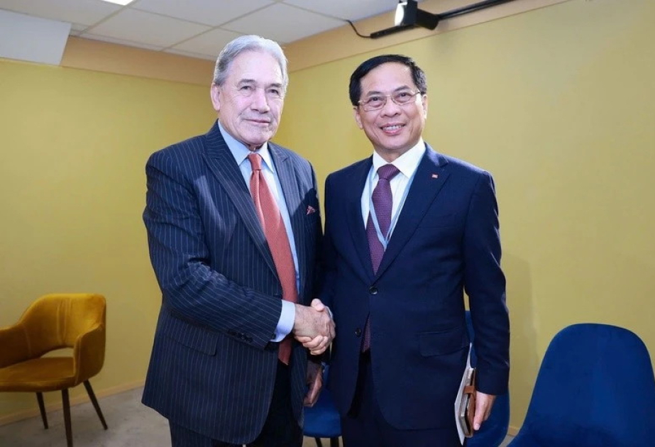 Foreign ministers of Vietnam, New Zealand meet on UN Ocean Conference sidelines