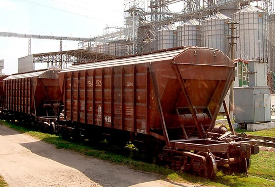 Казахстан компенсировал экспортерам зерна транспортные расходы за поставки в Азербайджан