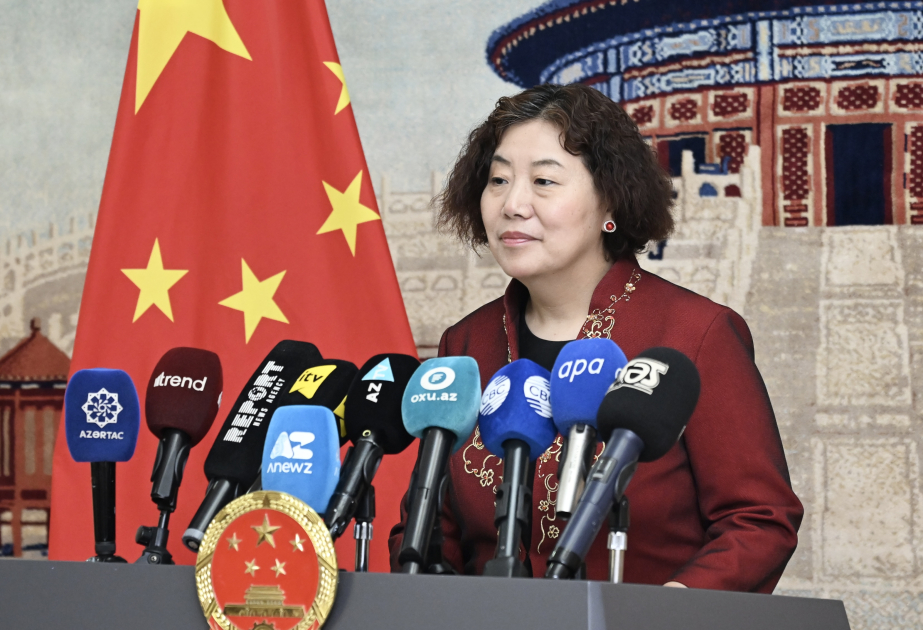 鲁梅大使:目前,两国各部门、各地方正在积极落实两国领导人达成的共识