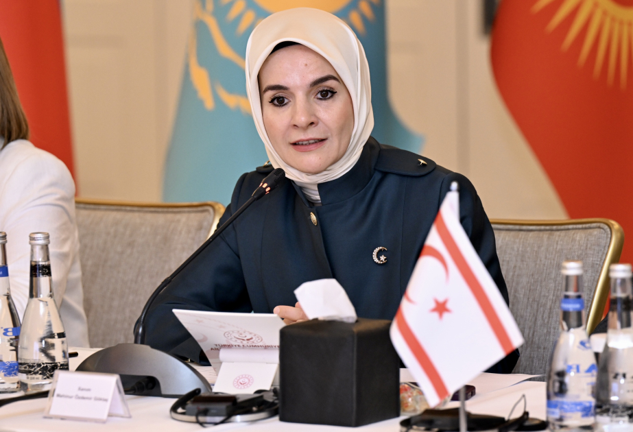 Mahinur Özdemir Göktaş: Türkiyədə sosial siyasət sahəsində mühüm addımlar atılır