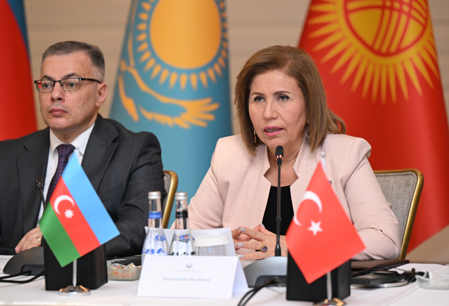 Bahar Muradova: Azərbaycan təcrübəsi hər kəs üçün maraqlıdır