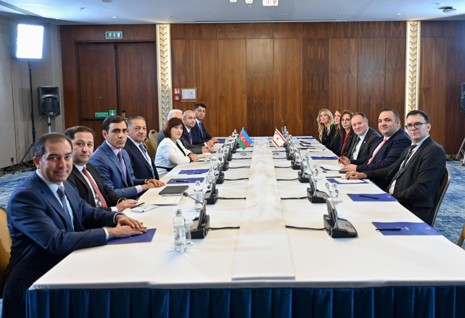 Parlamentssprecherin Sahiba Gafarova trifft Parlamentspräsidenten der Türkischen Republik Nordzypern