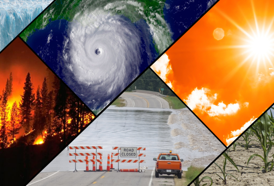Climate emergency is a health crisis ‘that is already killing us,’ says WHO