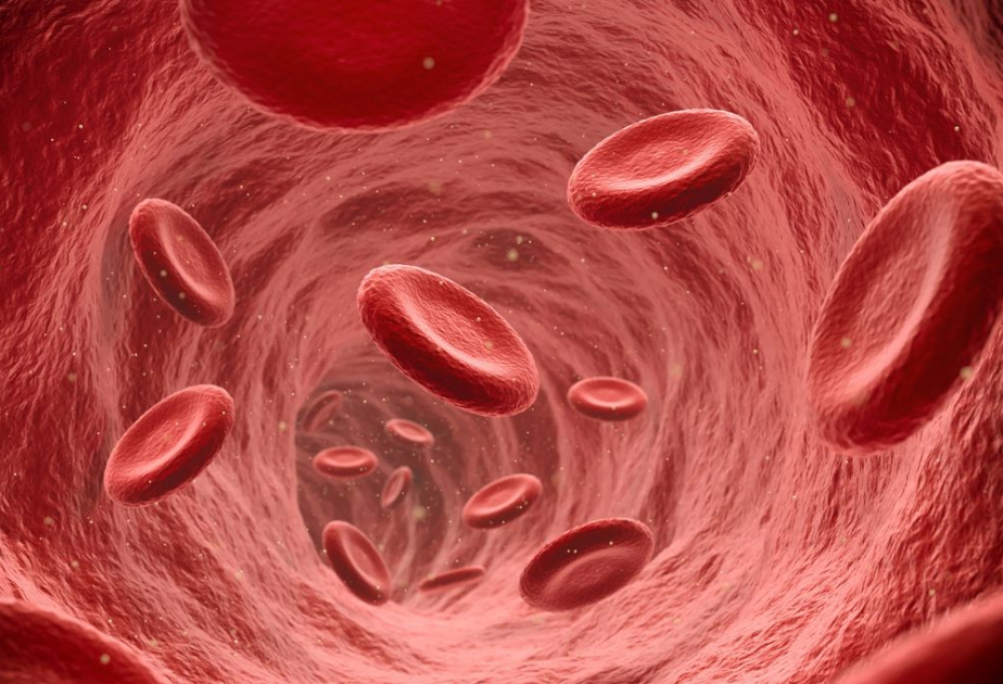 Detailed molecular steps of blood clotting revealed in new study