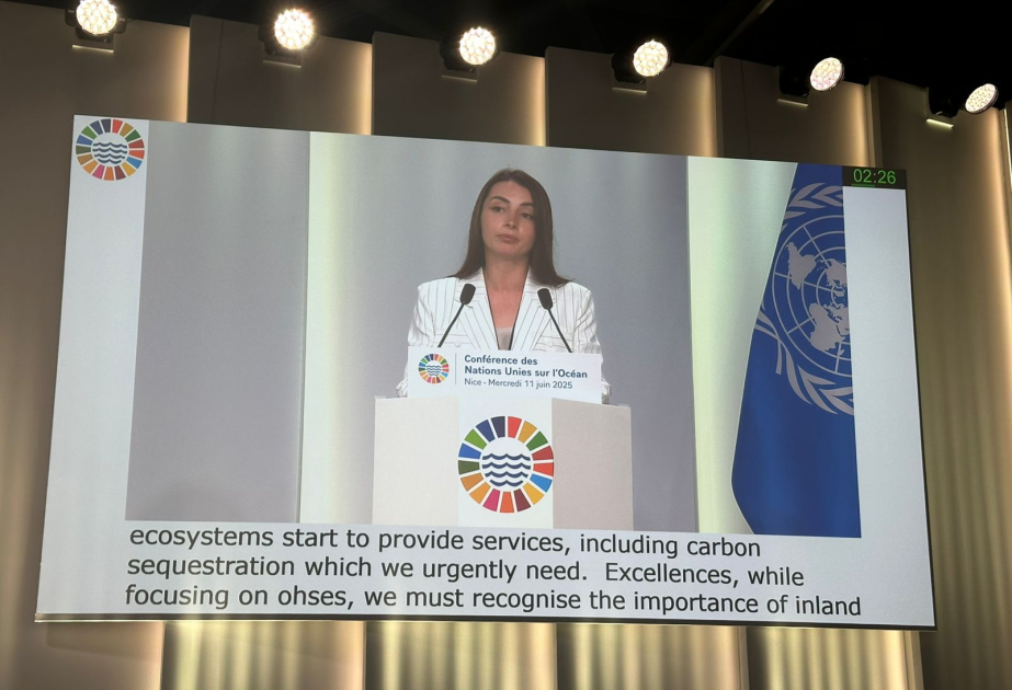 Embajadora: "Azerbaiyán está dando pasos importantes para proteger los ecosistemas marinos"