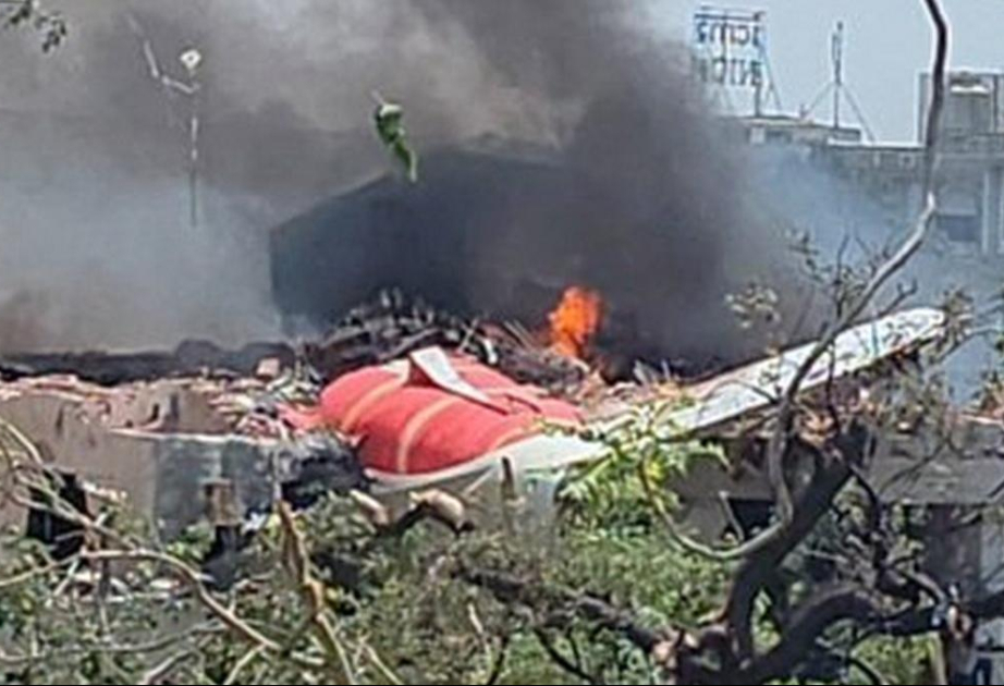 Причиной крушения самолета в Индии могло стать столкновение со стаей птиц  ОБНОВЛЕНО-3 ВИДЕО