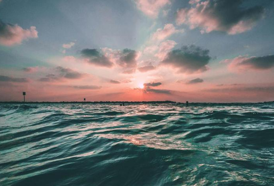 Global ocean surface temperature approaches historic high — meteorologists
