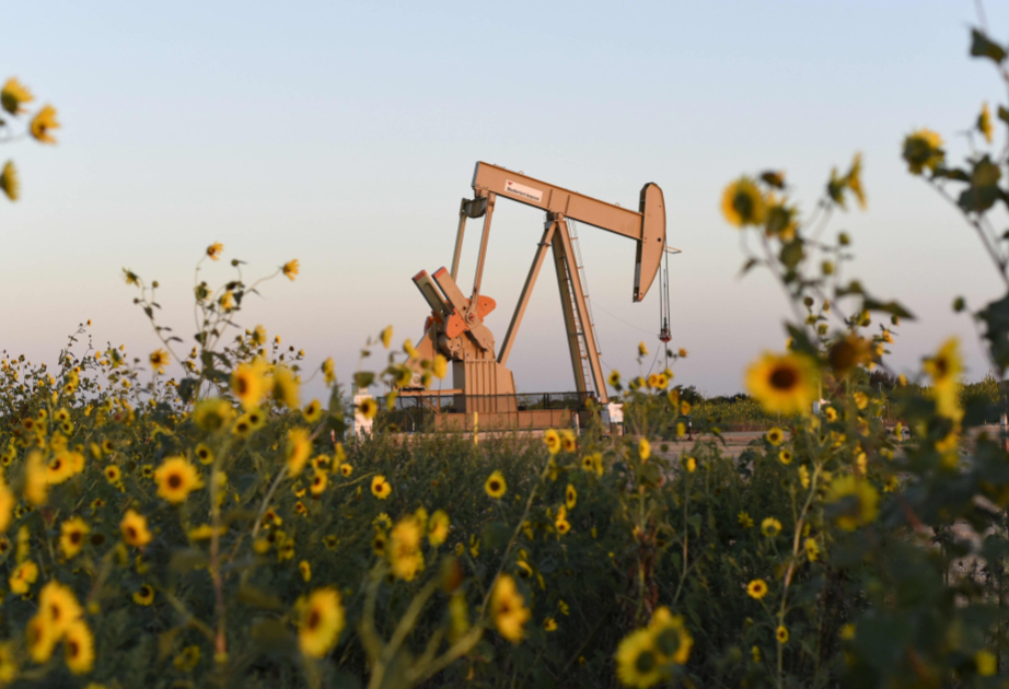 Les cours du pétrole reculent sur les bourses mondiales