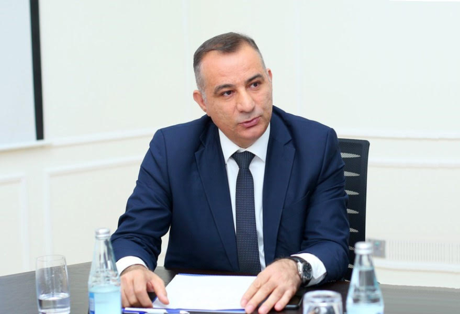 Layihə rəhbəri: Qərbi Azərbaycanla bağlı yaradılan ilk vahid elektron bazaya 250 maddi-mədəni irs nümunəsi daxil edilib