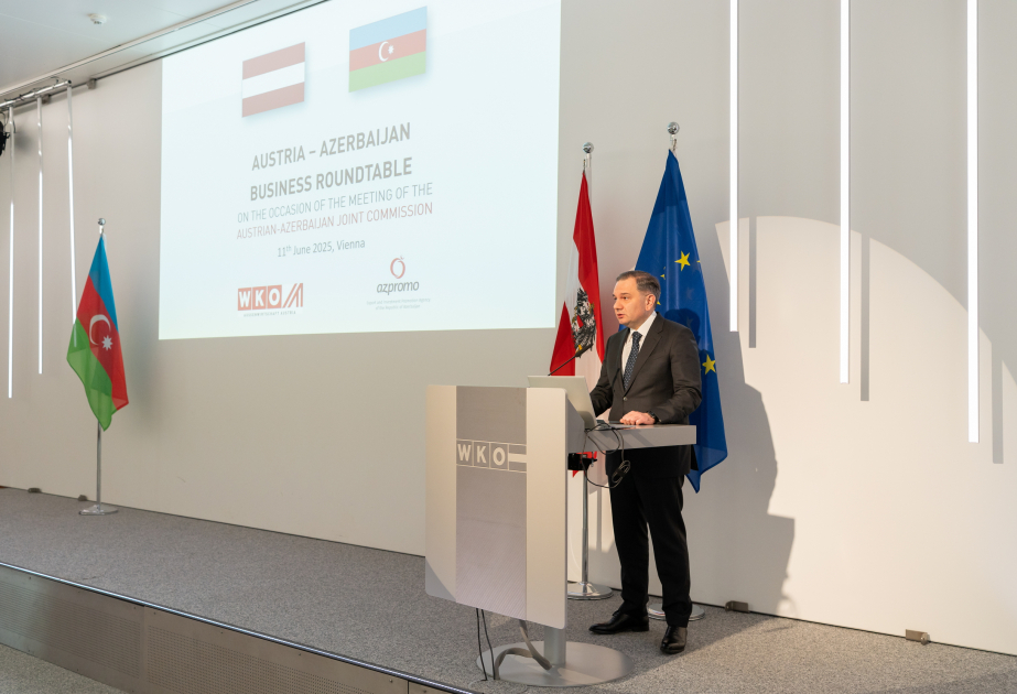 Se celebró una mesa redonda con la participación de círculos empresariales de Austria y Azerbaiyán