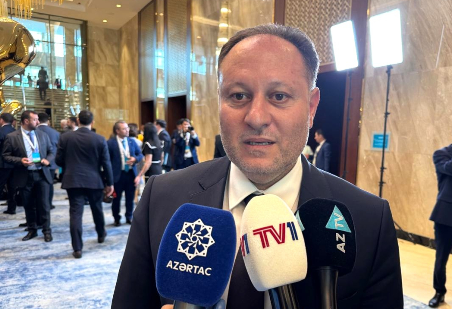 Ziya Öztürkler: Bizə ən böyük dəstəyi Türkiyə və Azərbaycan göstərir