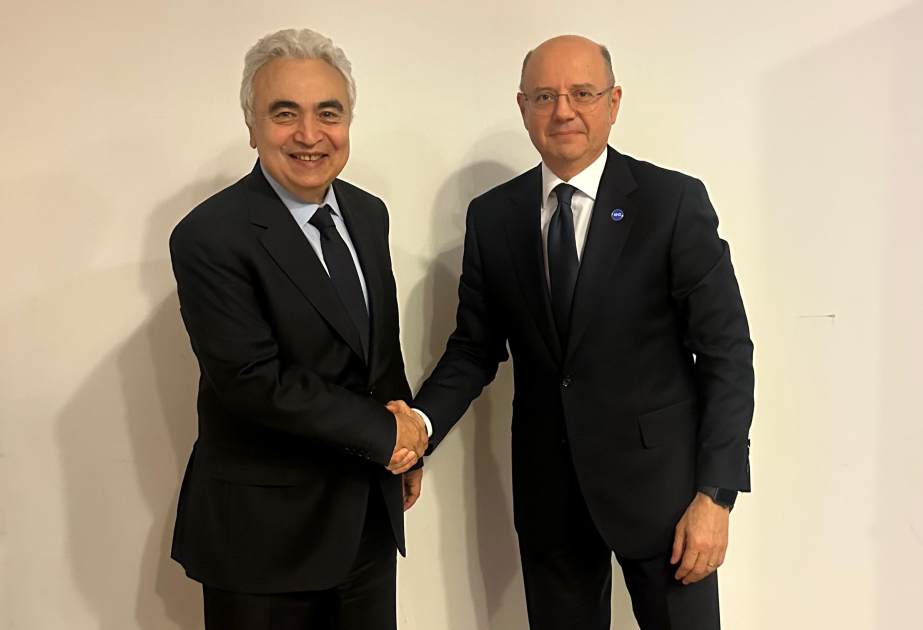 Azerbaijan and International Energy Agency discuss cooperation