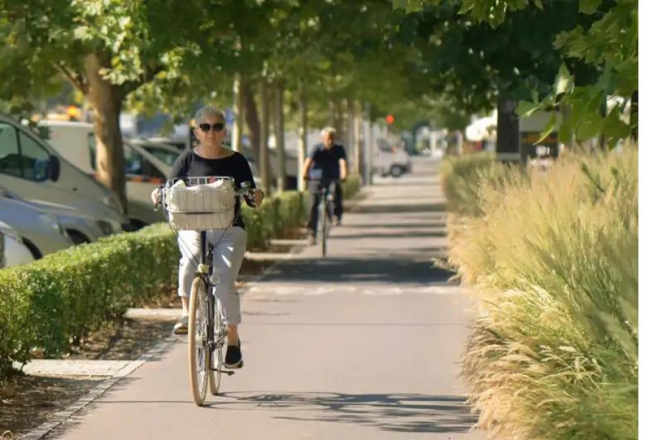 Bicycling tied to reduced dementia risk and greater hippocampal volume retention