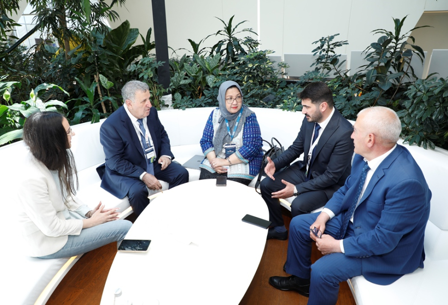 AMEA ilə “UI GreenMetric” Dünya Universitetləri reytinq təşkilatı arasında əməkdaşlıq məsələləri müzakirə edilib