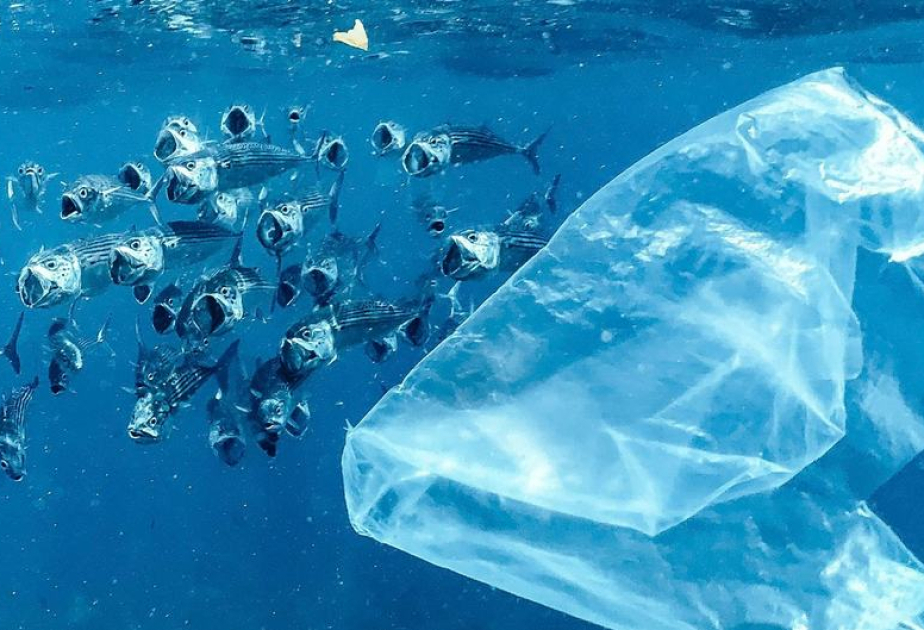 Un pas décisif vers un traité mondial contre la pollution plastique à Nice