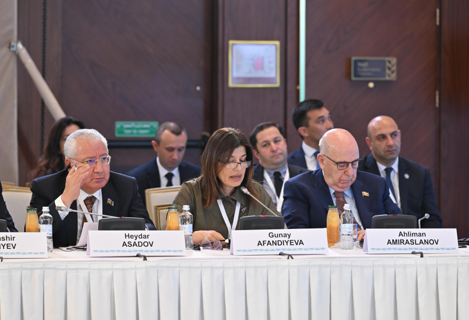 Гюнай Эфендиева: Как и в других сферах, в области образования мы должны действовать, опираясь на общий язык, общие ценности и общее видение будущего