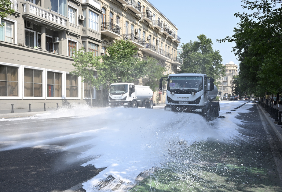 Paytaxtda növbəti dəfə genişmiqyaslı təmizlik işləri aparılıb