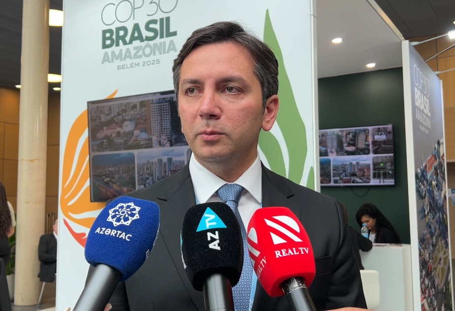 Negociador Jefe de la COP29: "7 eventos de la Presidencia de la COP29 se celebrarán en la sesión de Bonn"