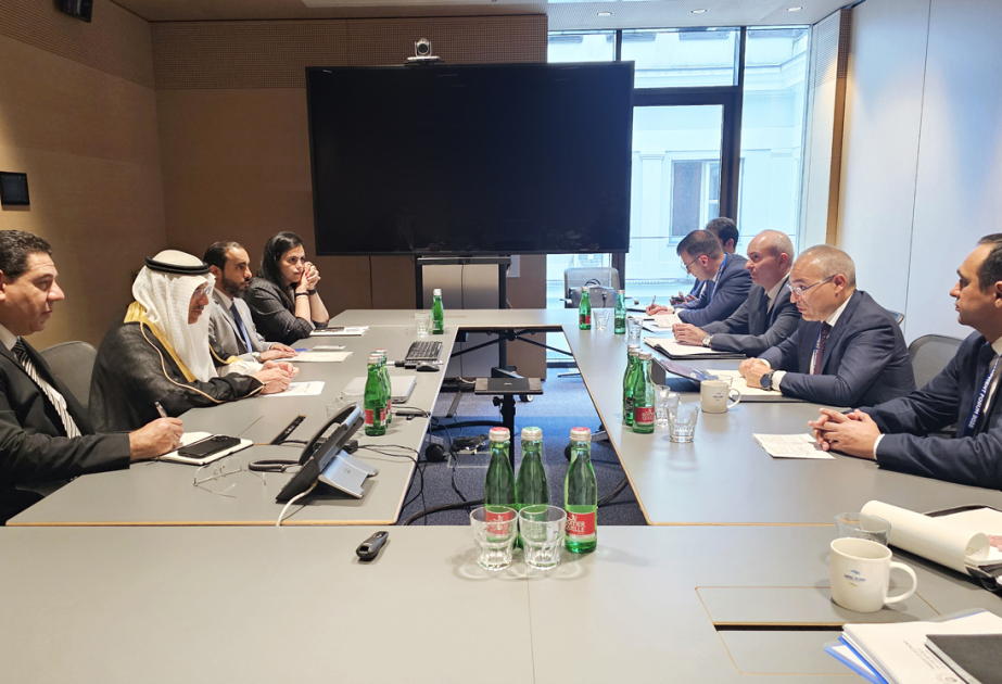 Azerbaijan’s Economy Minister visits OPEC Fund Development Forum in Austria