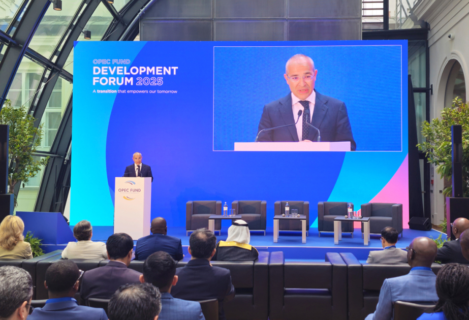 Azerbaijan’s Economy Minister addresses OPEC Fund Development Forum