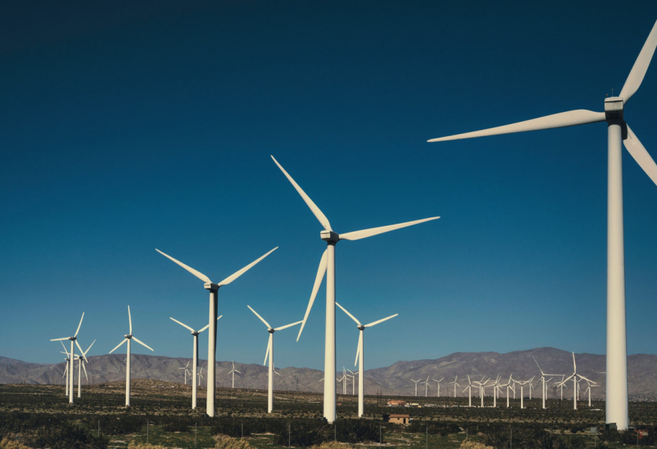 Wind power plant commissioned in Uzbekistan's Bukhara region