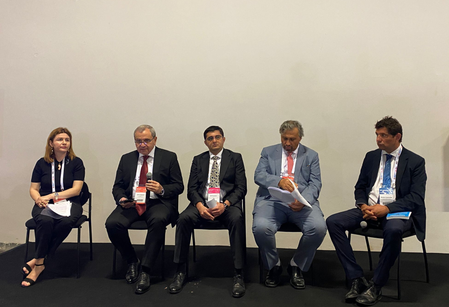 BDU-nun rektoru Qlobal Dayanıqlı İnkişaf Konqresinin panel müzakirəsində çıxış edib