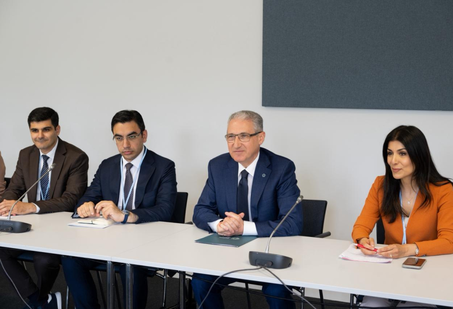 Azerbaijan and Brazil discuss deepening cooperation in preparation for COP30
