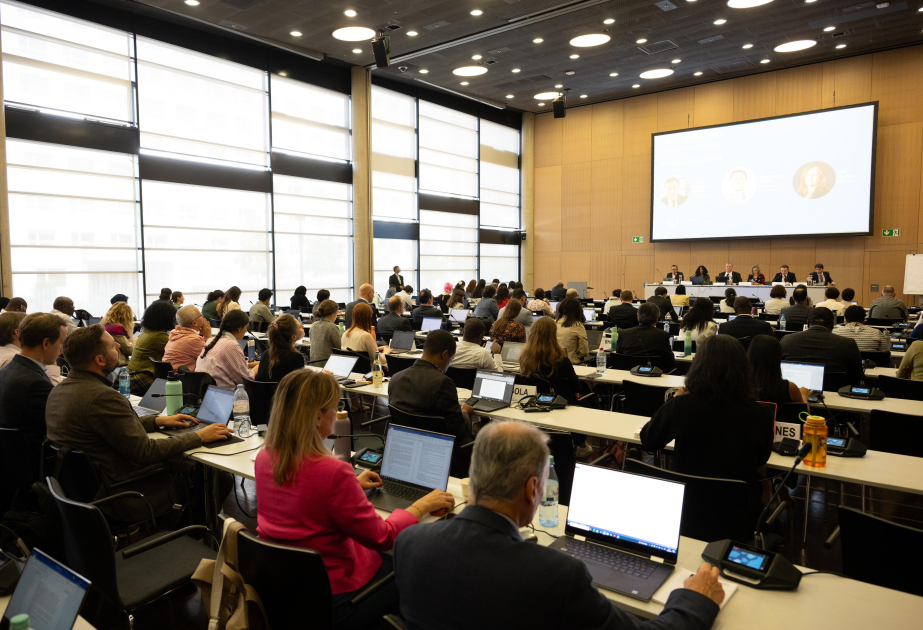 Foreign Ministry official: Azerbaijan places great importance on climate transparency during COP29 Presidency