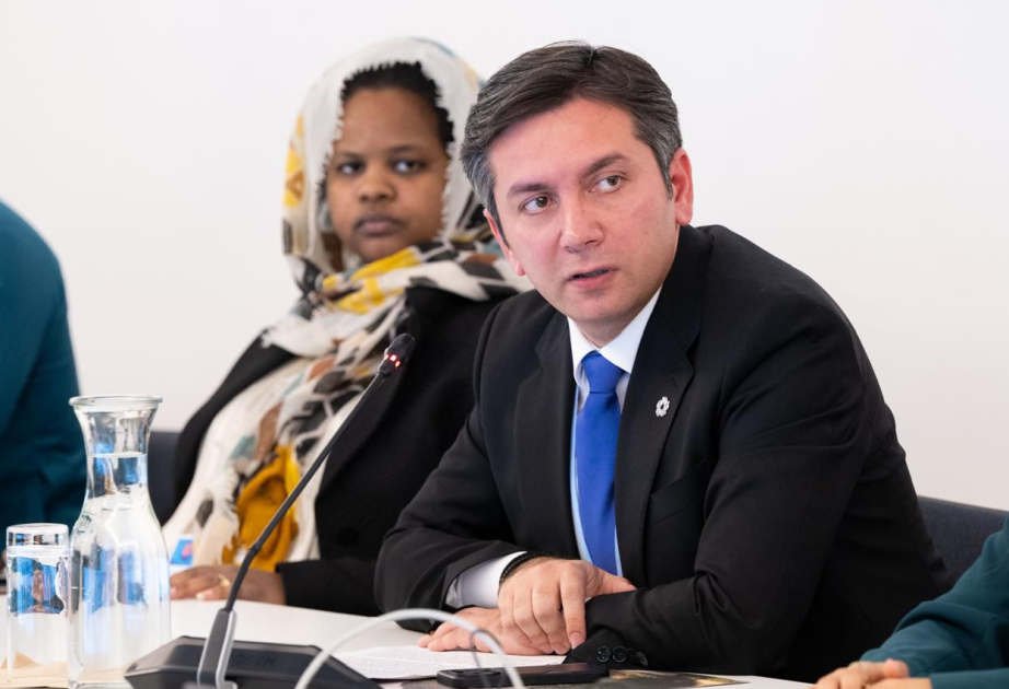 Yalchin Rafiyev: Youth are source of ideas and initiatives in COP process