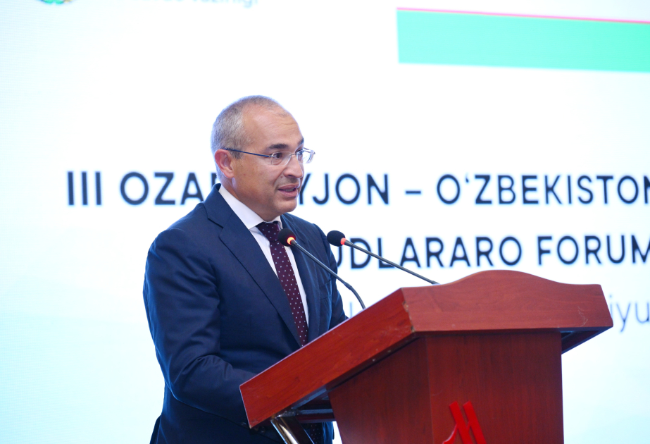 SOCAR podría realizar trabajos de exploración geológica en el bloque de inversión Karakalpak