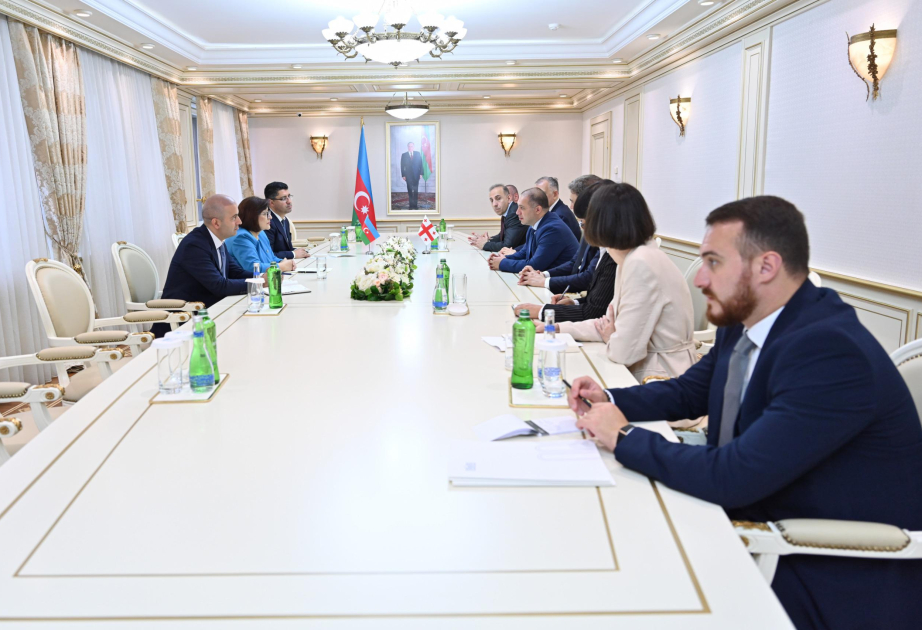 Parlamentarios georgianos fueron informados sobre el progreso del proceso de paz entre Azerbaiyán y Armenia